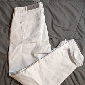 *NWT* white capri